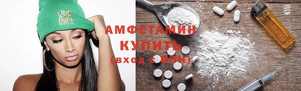 ПСИЛОЦИБИНОВЫЕ ГРИБЫ Новозыбков