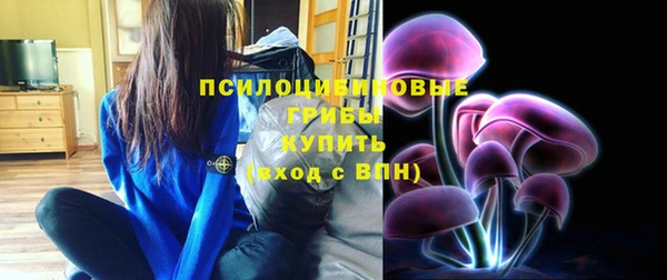 mix Новодвинск