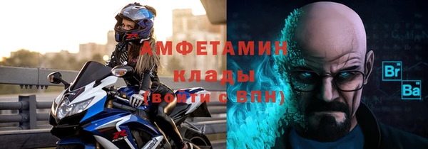 ПСИЛОЦИБИНОВЫЕ ГРИБЫ Новозыбков