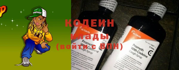 ПСИЛОЦИБИНОВЫЕ ГРИБЫ Новозыбков