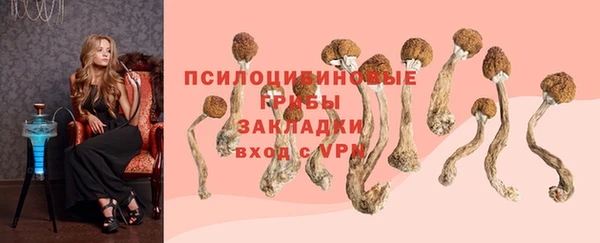 Альфа ПВП Абдулино