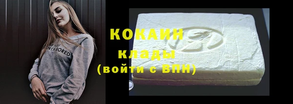 ПСИЛОЦИБИНОВЫЕ ГРИБЫ Новозыбков