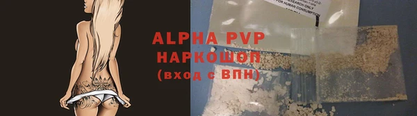 ПСИЛОЦИБИНОВЫЕ ГРИБЫ Новозыбков