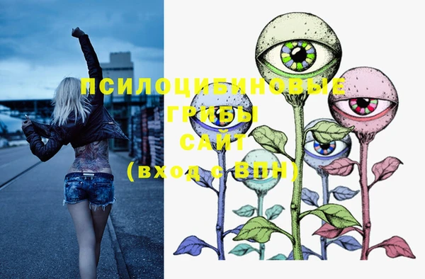 mix Новодвинск