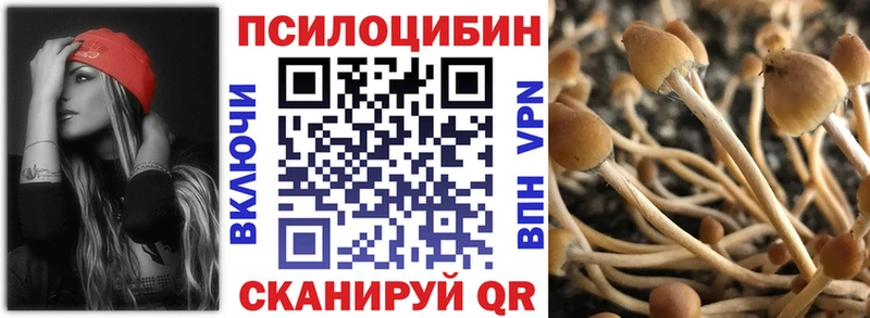 ОМГ ОМГ ссылки Шилка Псилоцибиновые грибы Psilocybine cubensis